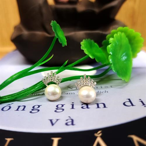 Bông Tai Ngọc Trai CHNT18